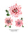 50 States Pink Hydrangea H+H x Urban Gardens Print