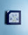 Texas Bluebonnet Coasters