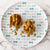 Florida Sand Crabs Melamine Dinner Plates