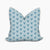 Delaware Hen Square Pillows Cover Only